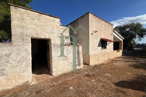 Landejendom i Carovigno, Brindisi, Carovigno - € 149.000 | Ref: Villa Guaceto - foto 19